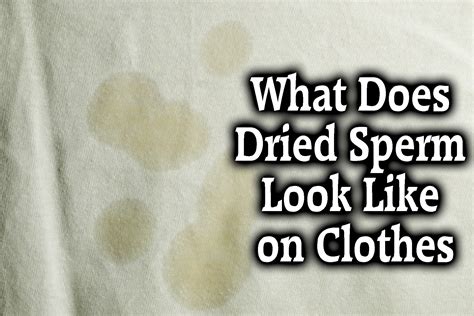 A detailed receipt will be sent. . What does dried up sperm look like on clothes